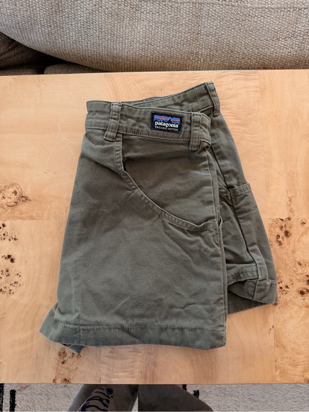 Patagonia Olive Utility Shorts with Workwear Pockets